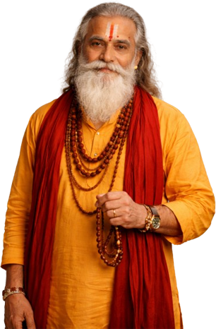 Astrologer available for consultation